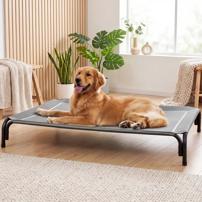 Lomvera™ Elevated Dog Bed for Large Dogs Up to 120 lbs, Breathable Teslin Mesh Pet Cot with Removable Winter Plush Mat, Indoor & Outdoor Use