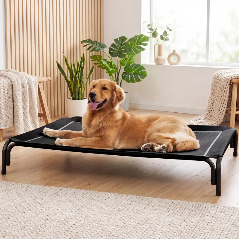 Lomvera™ Elevated Dog Bed for Large Dogs Up to 120 lbs, Breathable Teslin Mesh Pet Cot with Removable Winter Plush Mat, Indoor & Outdoor Use