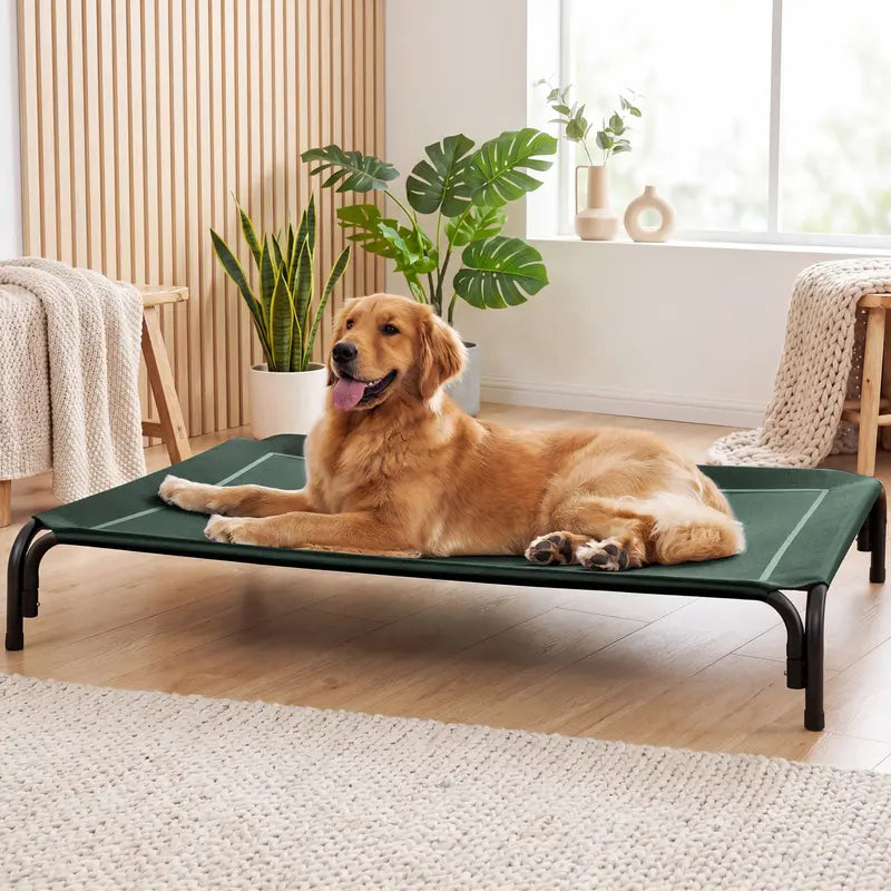 Lomvera™ Elevated Dog Bed for Large Dogs Up to 120 lbs, Breathable Teslin Mesh Pet Cot with Removable Winter Plush Mat, Indoor & Outdoor Use
